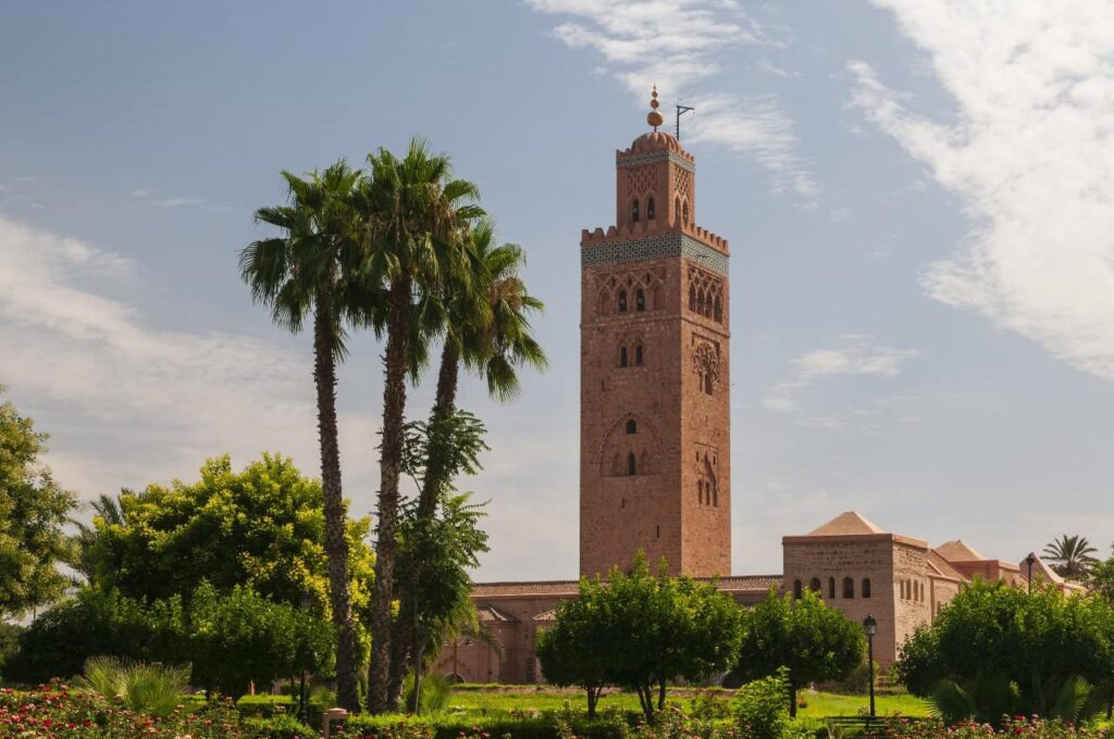 10 Day Birding Journey From Agadir