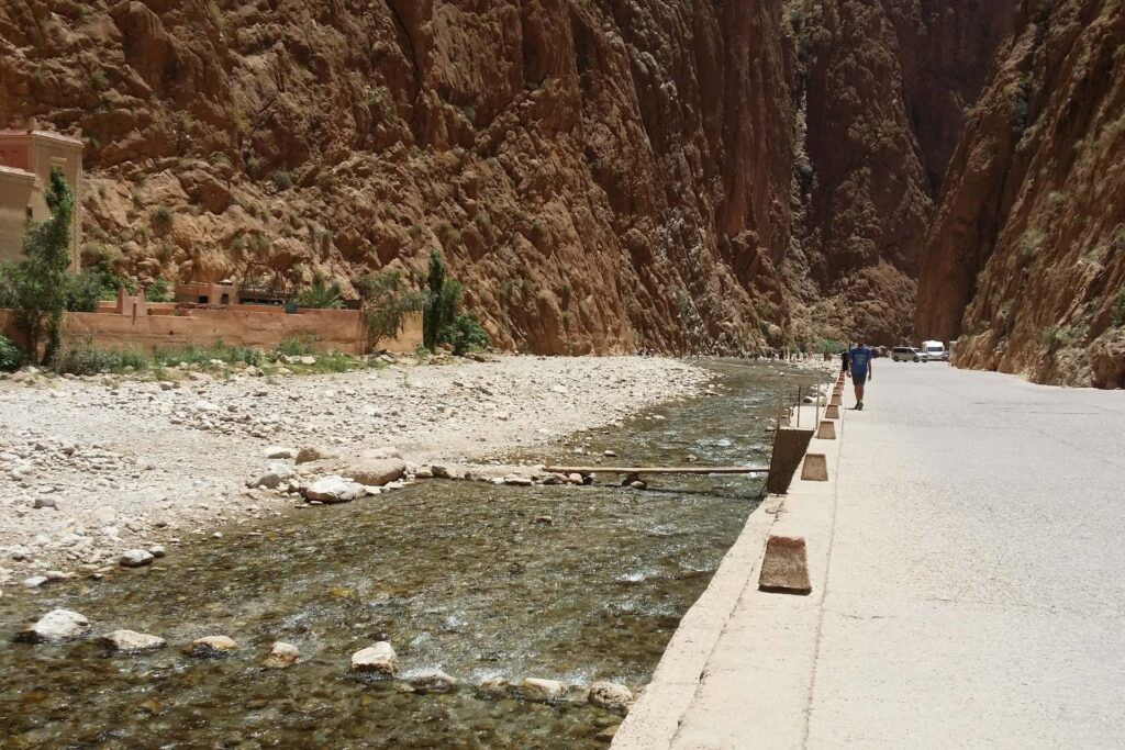 10 Day Birding Journey From Agadir