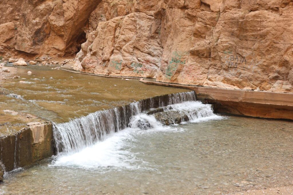 10 Days Birding Tour Atlas Mountains
