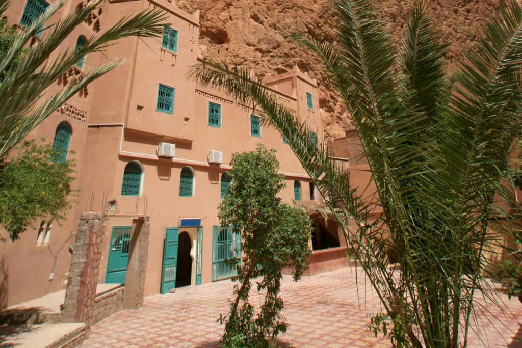 11 Day Morocco Birding Tour