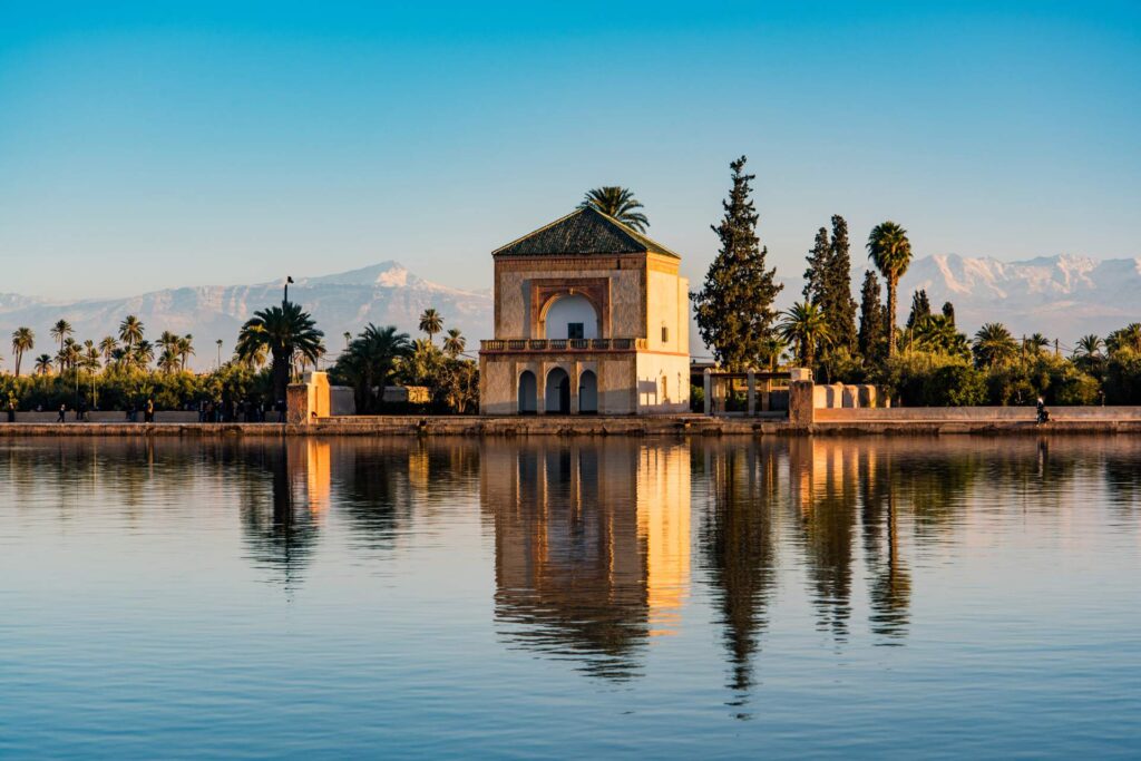 11 Day Morocco Birding Tour