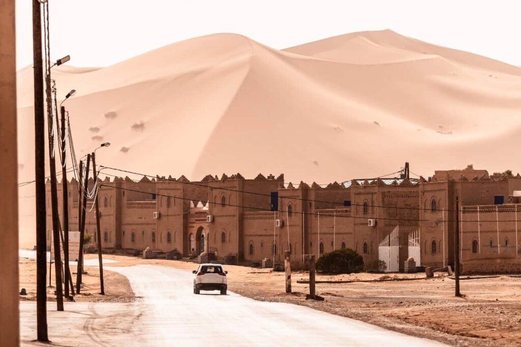12 Days birdwatching Tour from Agadir
