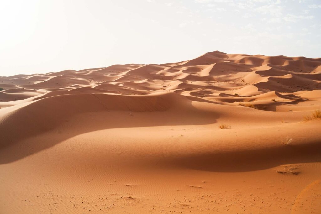 3 Days Merzouga Birdwatching Tour