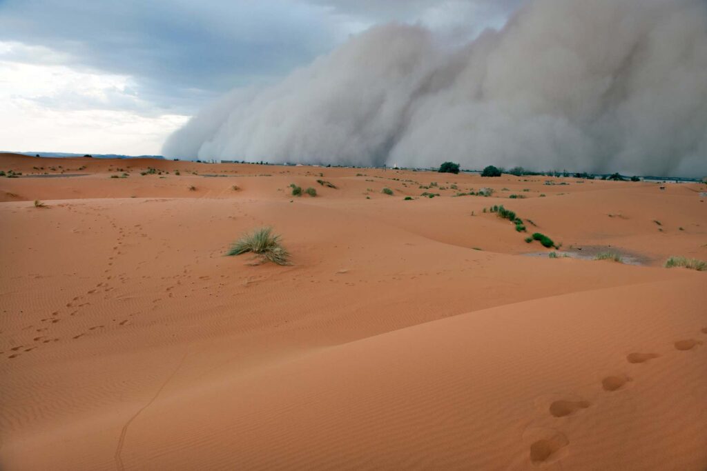 3 Days Merzouga Birdwatching Tour