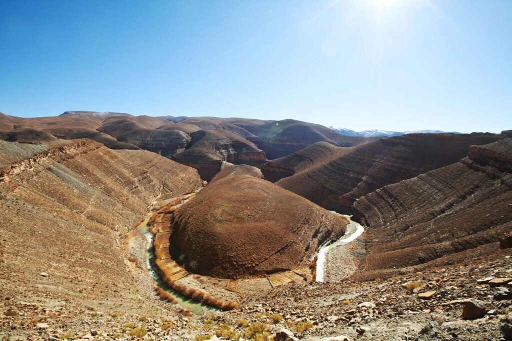 4 Days Birding Tour Atlas Mountains
