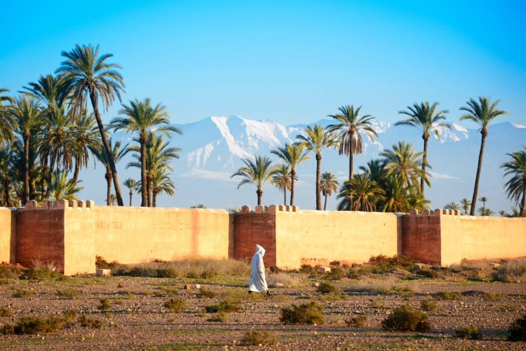 4 Days Birding Tour Atlas Mountains