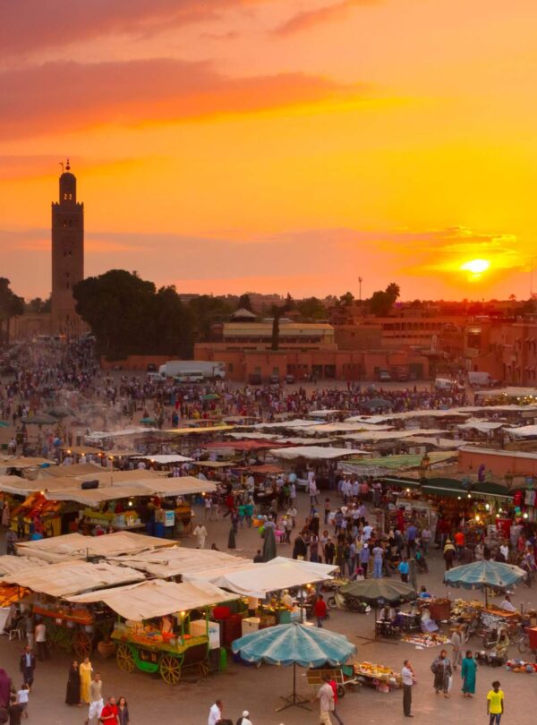 5 Days Birdwatching Tour From Marrakech