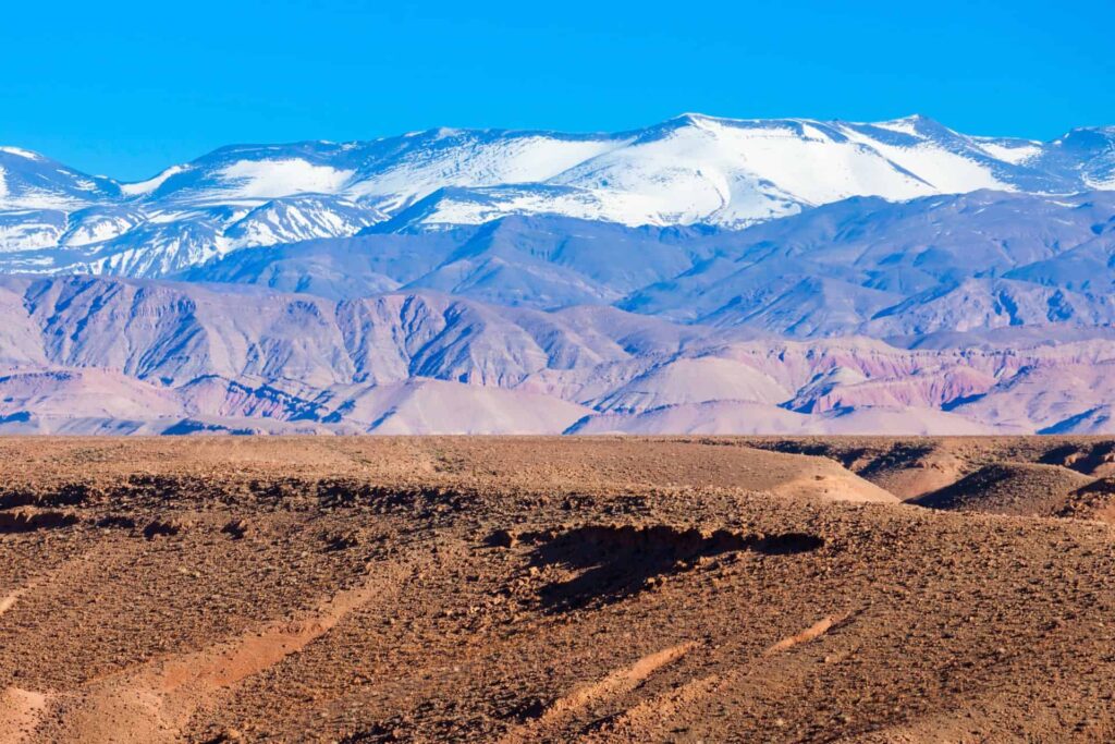 7 Days Birding Tour to Atlas Mountains