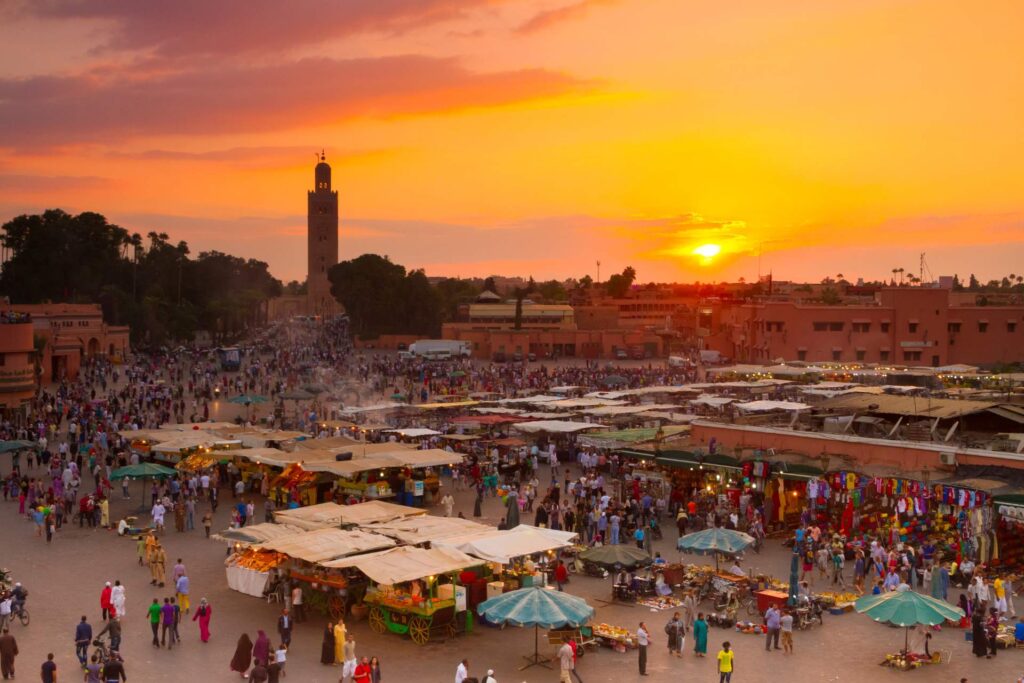 7 Days Birding Tour to Atlas Mountains