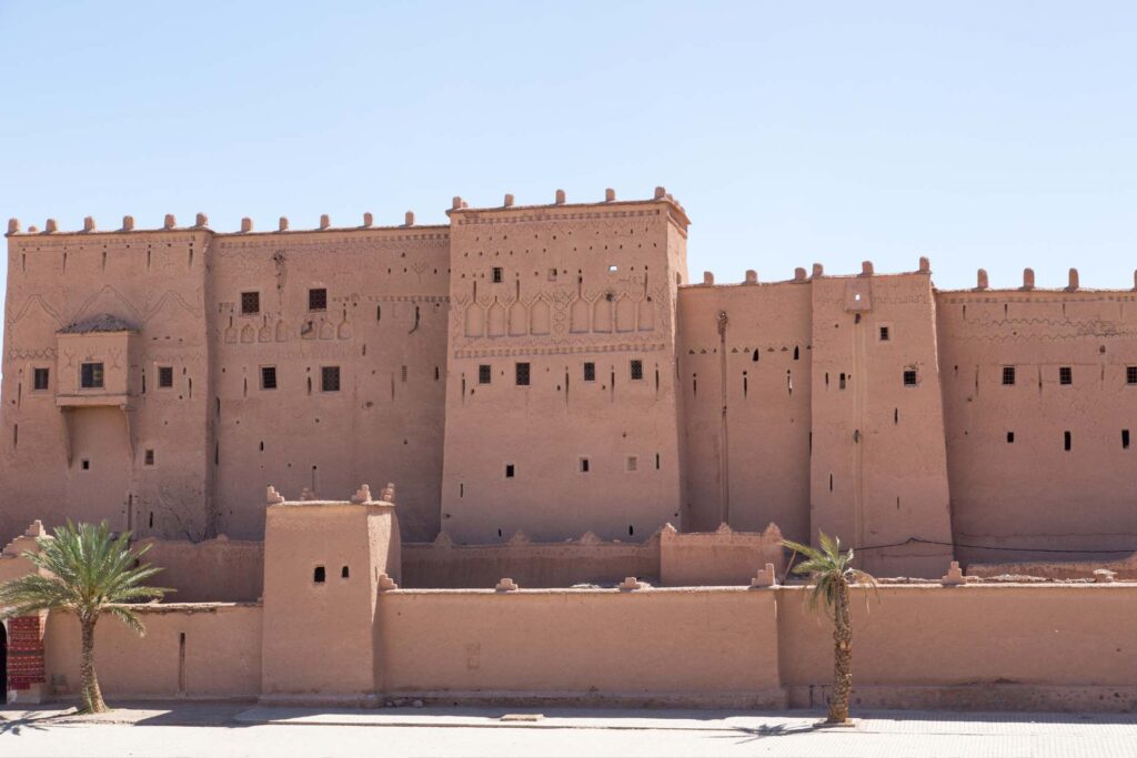7 Days Birding Tour to Atlas Mountains
