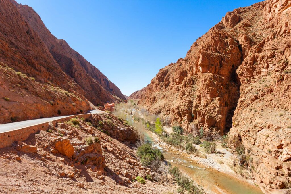 7 Days Birding Tour to Atlas Mountains