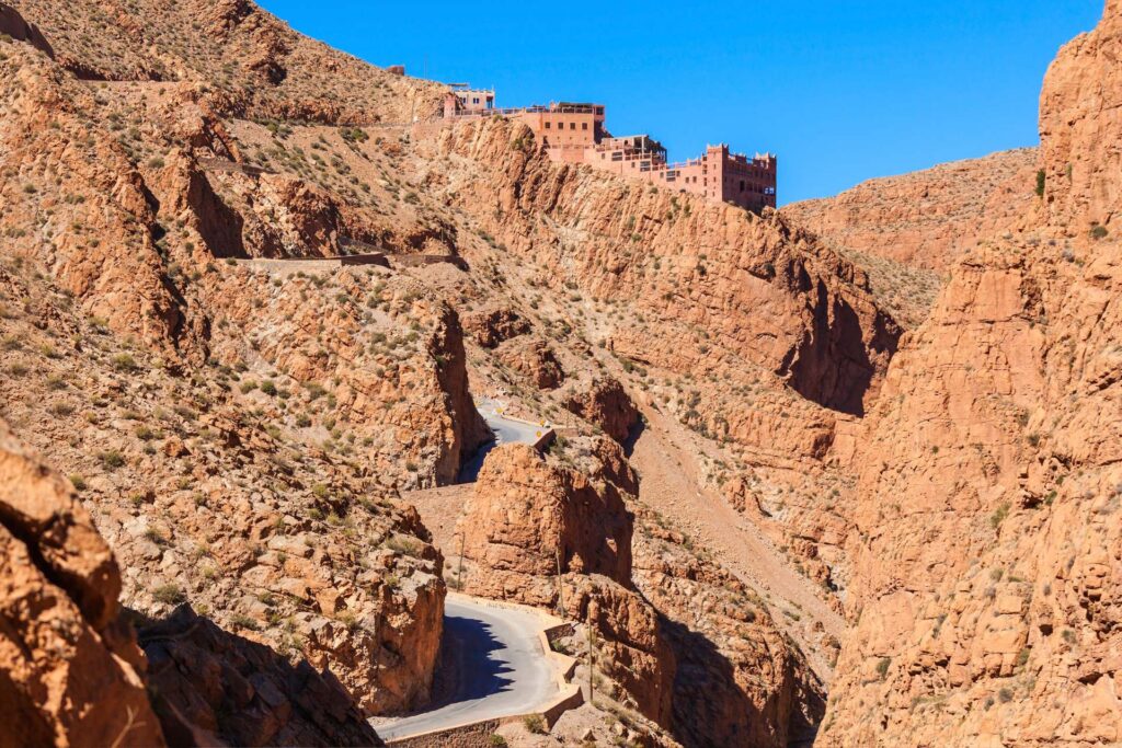 8 Day Morocco Birding Tour